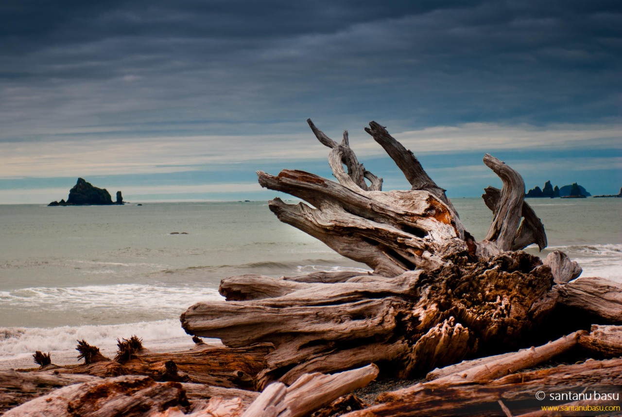 Olympic National Park
